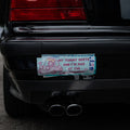 Melody Tummy Hurty And Angee at the Government Bumper Sticker