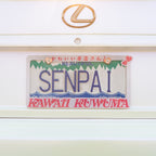 Kawaii Hearts License Plate Frame