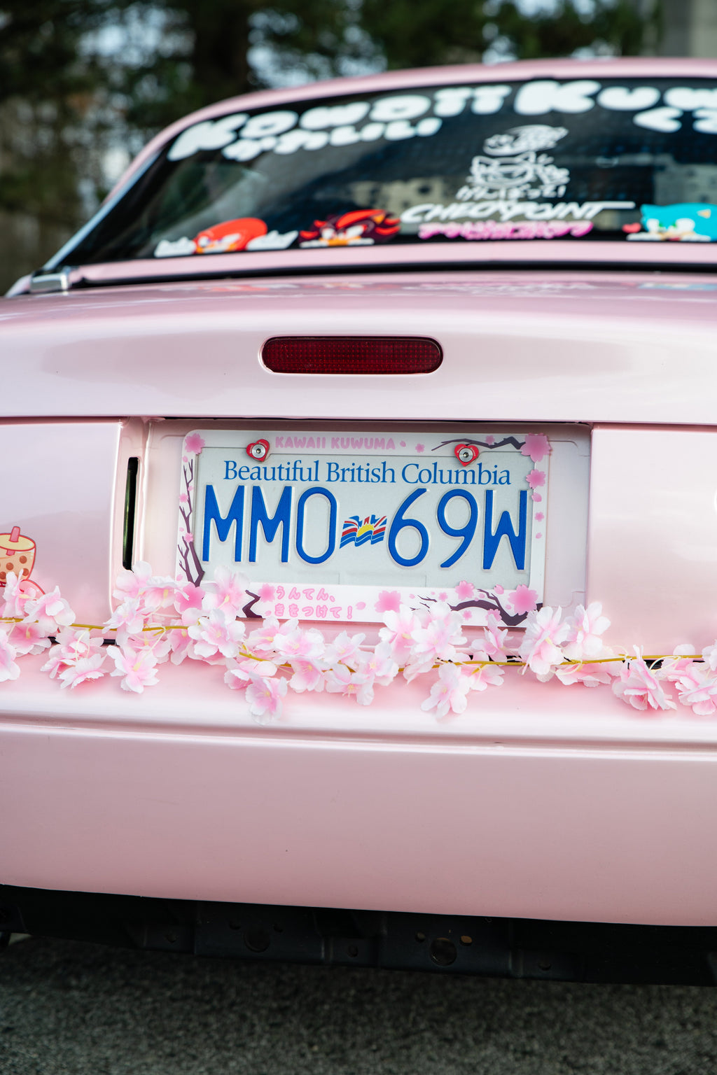 Cherry Blossom Sakura License Plate Frame