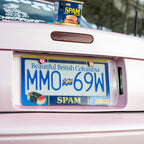 Luncheon spam License Plate Frame
