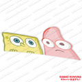 Sponge and pat peeker